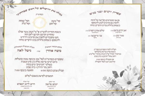 צבעוני — קטלוג 2025 דגם 207 — עמוד 1