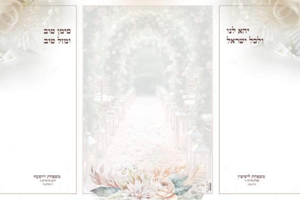 צבעוני — קטלוג 2025 דגם 205 — עמוד 2