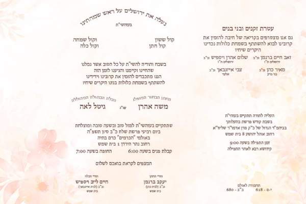 צבעוני — קטלוג 2025 דגם 206 — עמוד 1