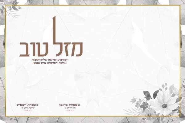 צבעוני — קטלוג 2025 דגם 207 — עמוד 2